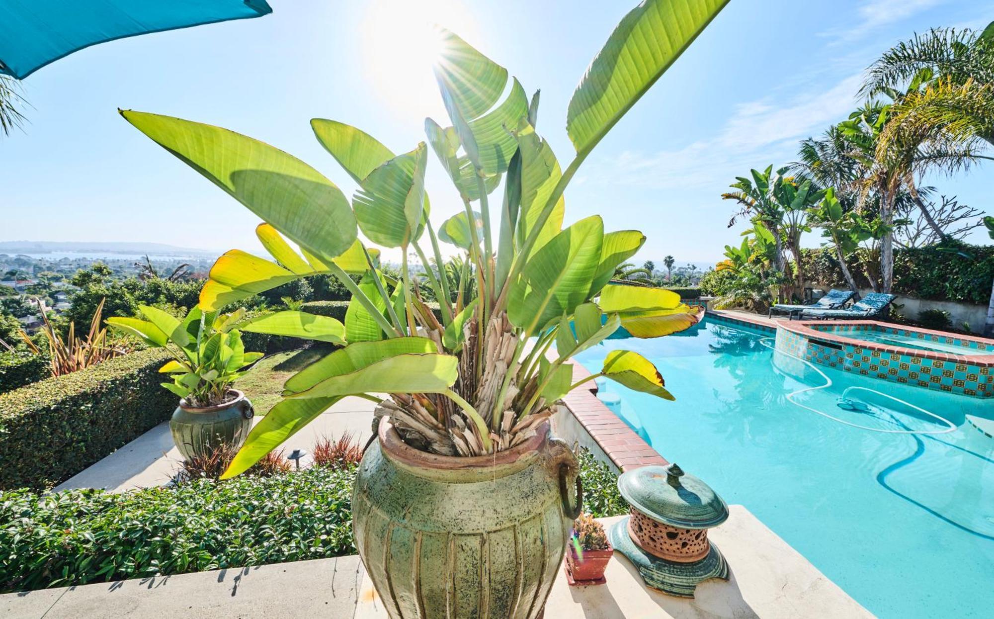 360 Degree Ocean & City Views With Pool, Spa, Close To The Beach! Pets Ok San Diego Eksteriør bilde